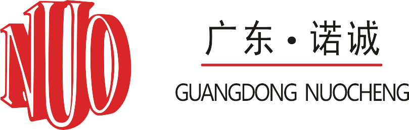 里昂vs蘭斯